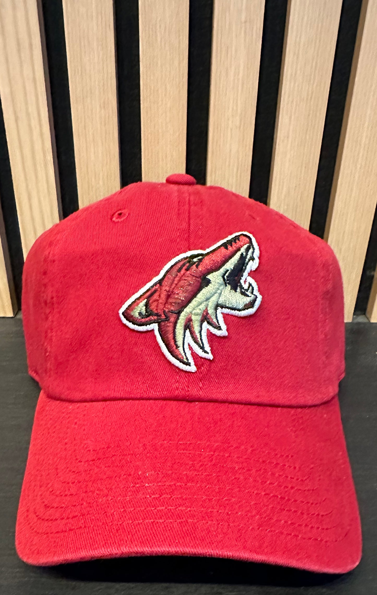 Phoenix Coyotes Hat - American Needle
