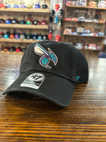 Charlotte Hornets Clean Up Hat - 47’ Brand